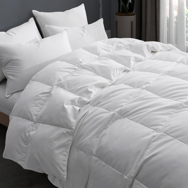 Latitude Run® 600in³/oz Fill Power All Season Goose Down Comforter